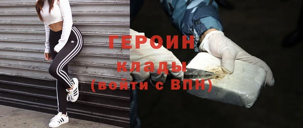 гашик Алексин