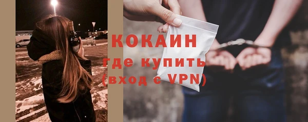 гашик Алексин