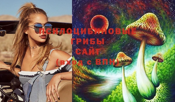 а пвп мука Алексеевка