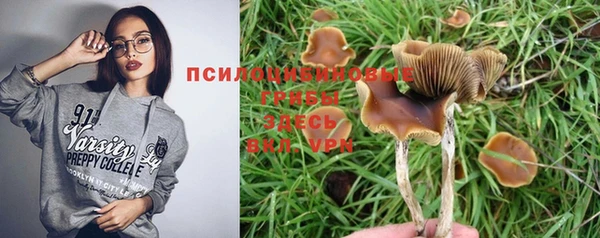 гашик Алексин
