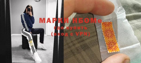 гашик Алексин